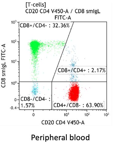 Learn Flow Cytometry: T-cell Development and Normal Subsets