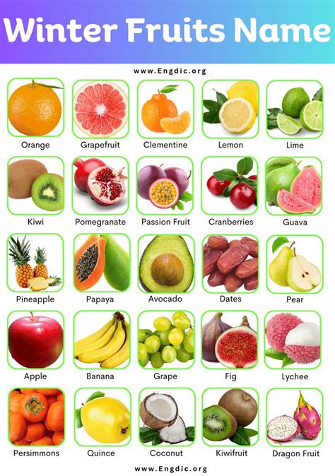 List of All Winter Fruits Name with Pictures | Winter fruit, Winter fruits and vegetables, Fruit ...