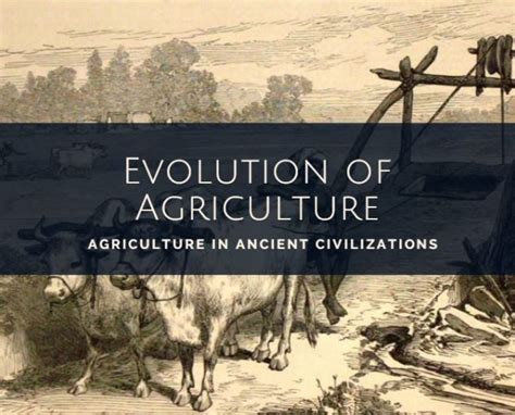 Ancient Civilization Agriculture – Ancient Civilizations World