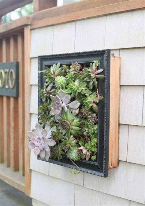 25+ Wonderful Diy Succulent Wall Art As Beautiful Decoration For Your Home | Succulent wall art ...