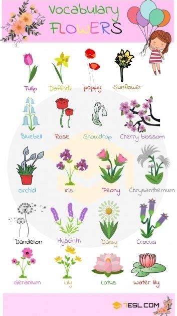 Picture Of Plant With Name. The primary factors with regard to choosing plants and planting ...