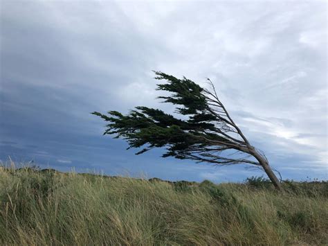 Gale-force winds for Otago and Southland | Otago Daily Times Online News