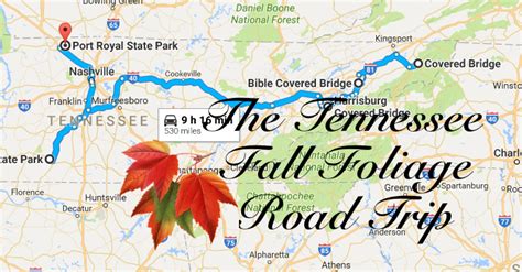 Take This Gorgeous Fall Foliage Road Trip To See Tennessee Like Never Before | Fall foliage road ...