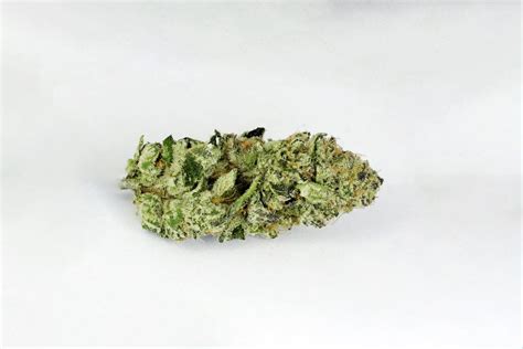 Girl Scout Cookies Strain Complete Review | AskGrowers