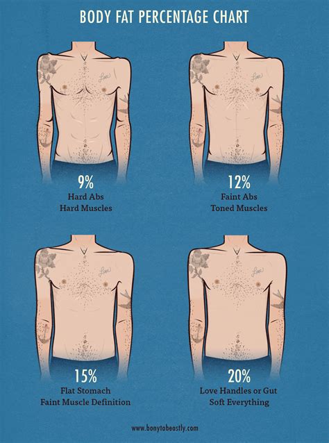 Bony to Beastly—The Ectomorph's Guide to Body Fat Percentage