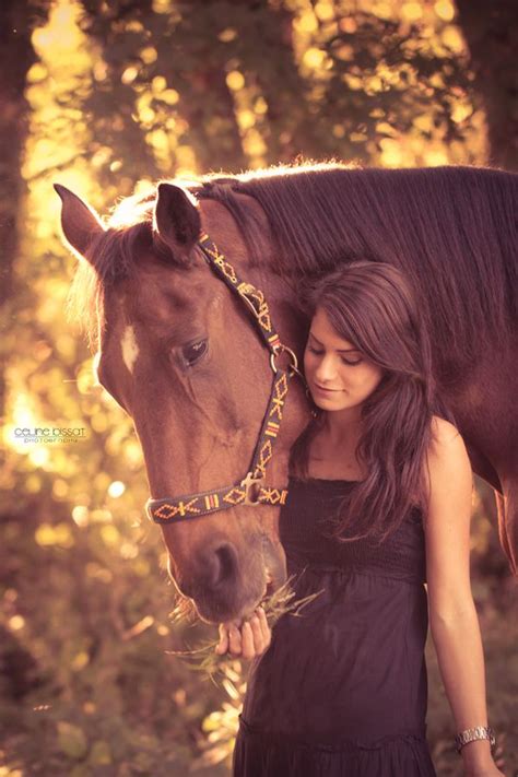 "Horse Sunset" | Horse photography, Horse inspiration, Equine photography