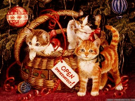 Christmas Kittens in basket. - Cats Wallpaper (36711831) - Fanpop