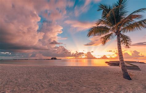 Wallpaper sand, beach, the sky, clouds, sunset, tropics, Palma, the ocean, Maldives, The Indian ...