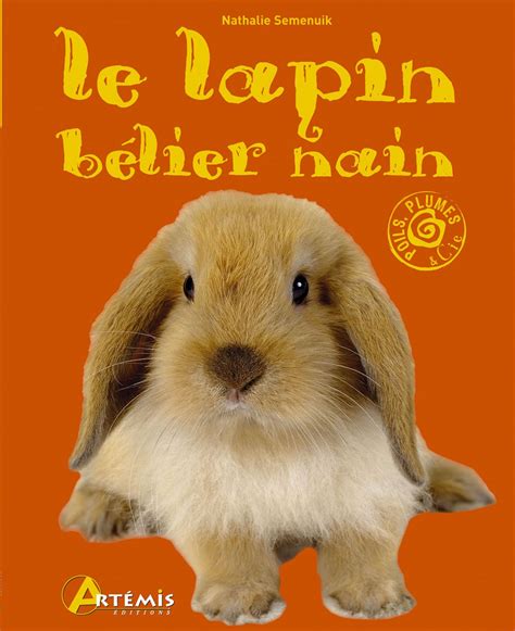 Lapin Belier | ubicaciondepersonas.cdmx.gob.mx