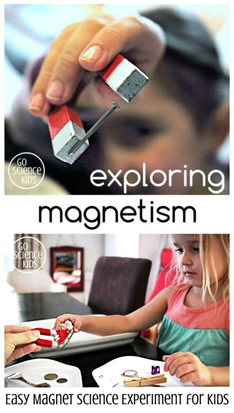 Easy Magnet Science Experiment for Kids | Science experiments kids, Magnet science experiment ...