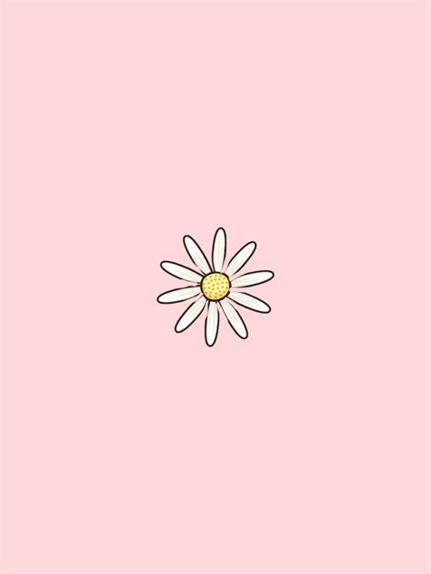 Daisy wallpaper | Daisy wallpaper, Pastel pink wallpaper iphone, Pastel pink wallpaper