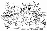 40  Iguana Coloring Pages Free Printable PDF JPG PNG & Online sketch template