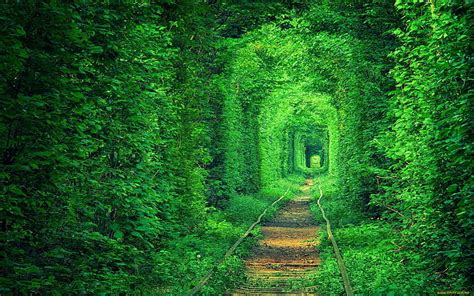 HD wallpaper: plants, trees, nature, railway, green, forest, path ...