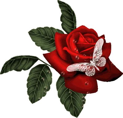 red-roses-roses-gif | Rose flower wallpaper, Butterfly pictures, Glitter graphics
