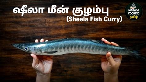 Sheela Fish Curry | ஷீலா மீன் குழம்பு | Masala Cooking Tamil - YouTube