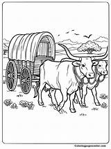 9 Free Texas Longhorn Coloring Pages sketch template