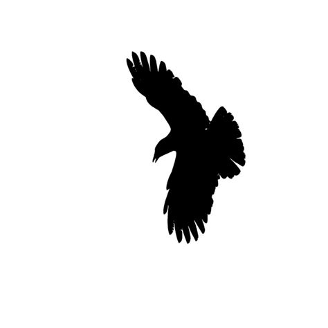 Free Raven In Flight Silhouette, Download Free Raven In Flight ...