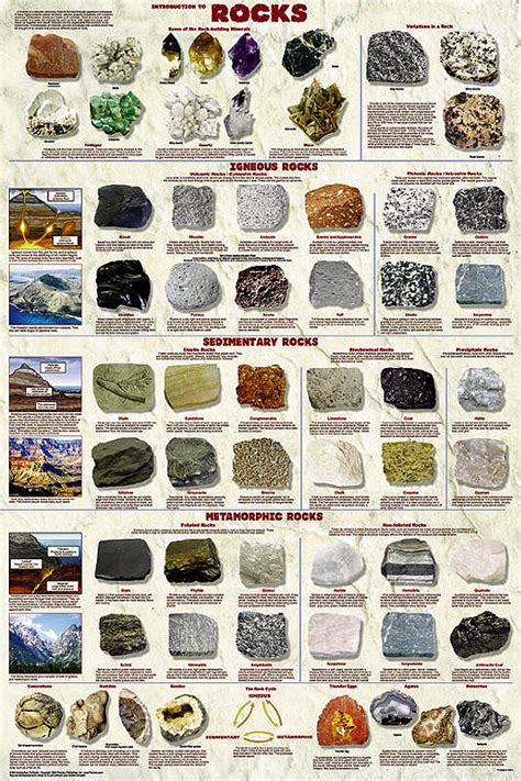 Introduction to Rocks Poster by Feenixx Publishing