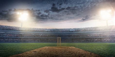 Royalty Free Cricket Pictures, Images and Stock Photos - iStock