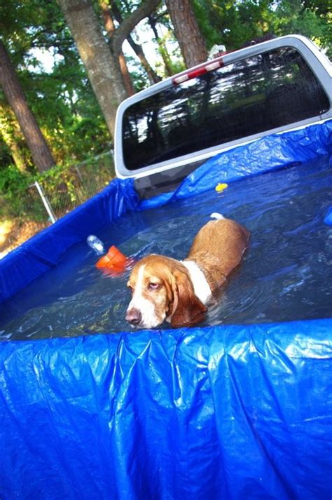 39 best images about Redneck Swimming Pools on Pinterest | Portable ...