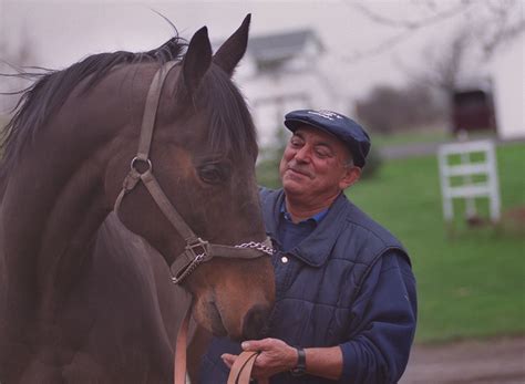 Remembering Zippy Chippy, the lovable horse that lost 100 straight ...