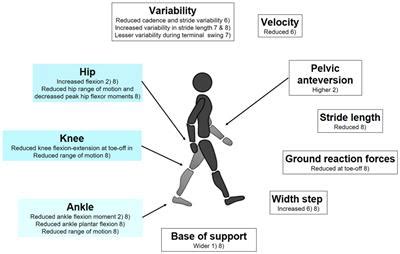 Frontiers | Could Gait Biomechanics Become a Marker of Atypical ...