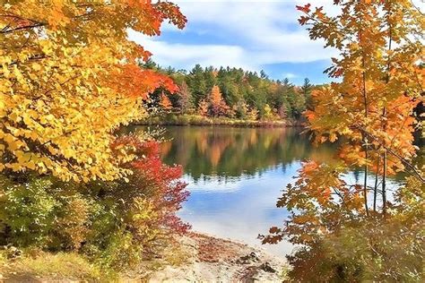 6 Picturesque Boston and New England Fall Foliage Tours