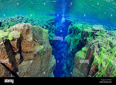 Silfa, the divergent tectonic boundary between the North American and Eurasian plates, Iceland ...