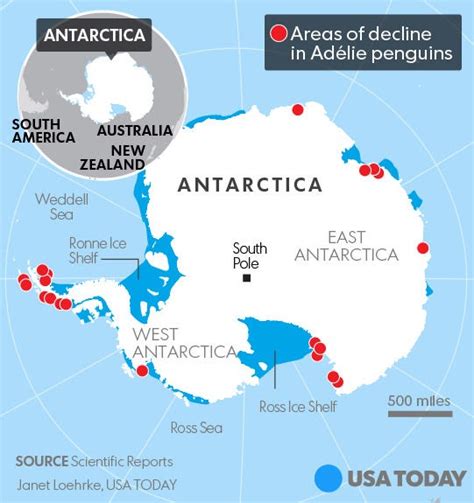 Penguins losing habitat in Antarctica, could be decimated by 2099