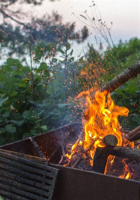 Burning Logs in the FireWarming Fire in Nature Stock Image - Image of burn, flames: 124997353