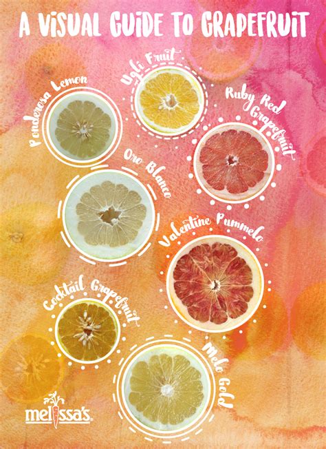 A Visual Guide to Grapefruit - Real Food, Mostly Plants