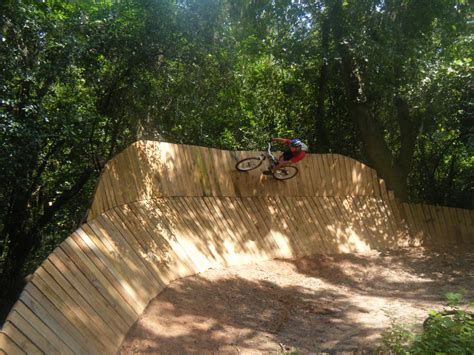 My Top Five: The Best Mountain Bike Trails in Florida | Singletracks Mountain Bike News