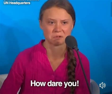 How Dare You! Greta Thunberg | Reaction face, Memes, Funny dialogues