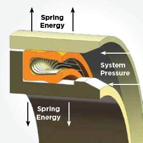 The Advantages of Spring Energized Seals in the Medical Industry ...