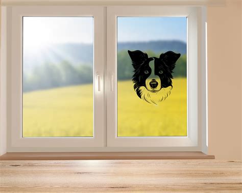 Border Collie Svg Border Collie Clipart Border Collie Png - Etsy