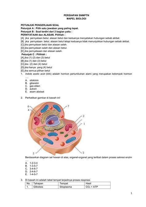 Gambar Sitoplasma Pada Sel Hewan