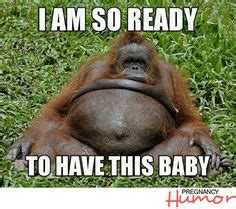 Funny Pregnancy Memes