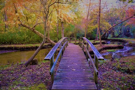 Fall on Long Island Photograph by Renee DeFilippis - Fine Art America