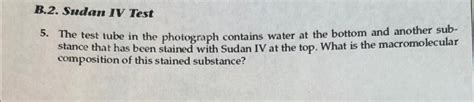 Solved B.2. ﻿Sudan IV Test5. ﻿The test tube in the | Chegg.com