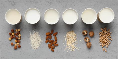 The 11 Best Milk Substitutes for Your Health (see our list) - BioTrust