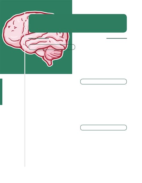 Increased intracranial pressure Notes: Diagrams & Illustrations | Osmosis