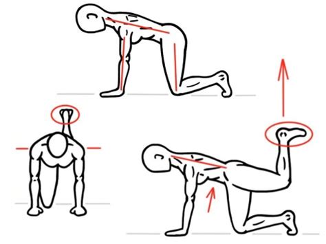 Hip and Glute Activation - PreHab Exercises