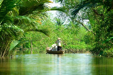 Mekong Delta Guided Tour from Ho Chi Minh City: Your Ultimate Southern ...