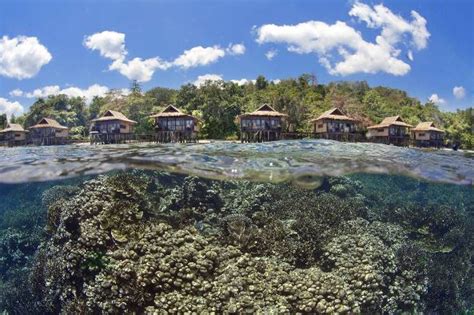 Raja Ampat: Coral Triangle Adventure | Papua Paradise