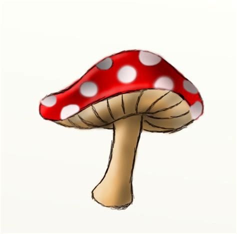 How to draw a mushroom | HubPages