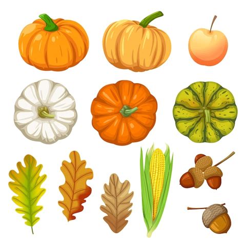 Free Vector | Set of icons with Pumpkin, corn, walnuts and leaves isolated on white.