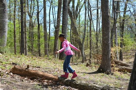 Cobb County Parks – Hikes for Health