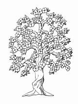 Free Printable Tree Coloring Pages For Kids  Monkeys Planting A tree sketch template