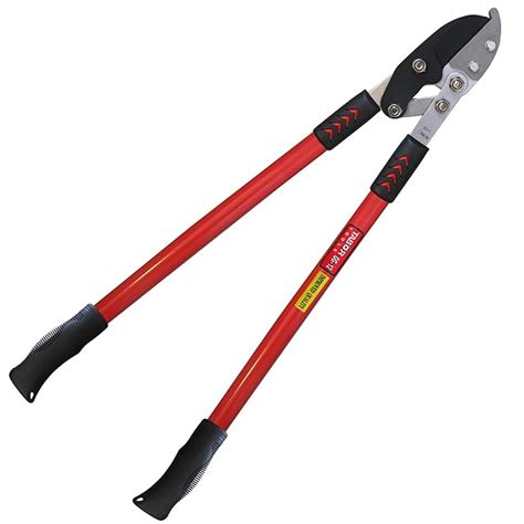 Top 6 Best Loppers for Large Branches [Oct 2022] Reviews & Guide (2022)