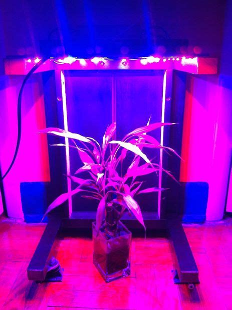 10 DIY Led Grow Lights For Growing Plants Indoors – Home And Gardening Ideas